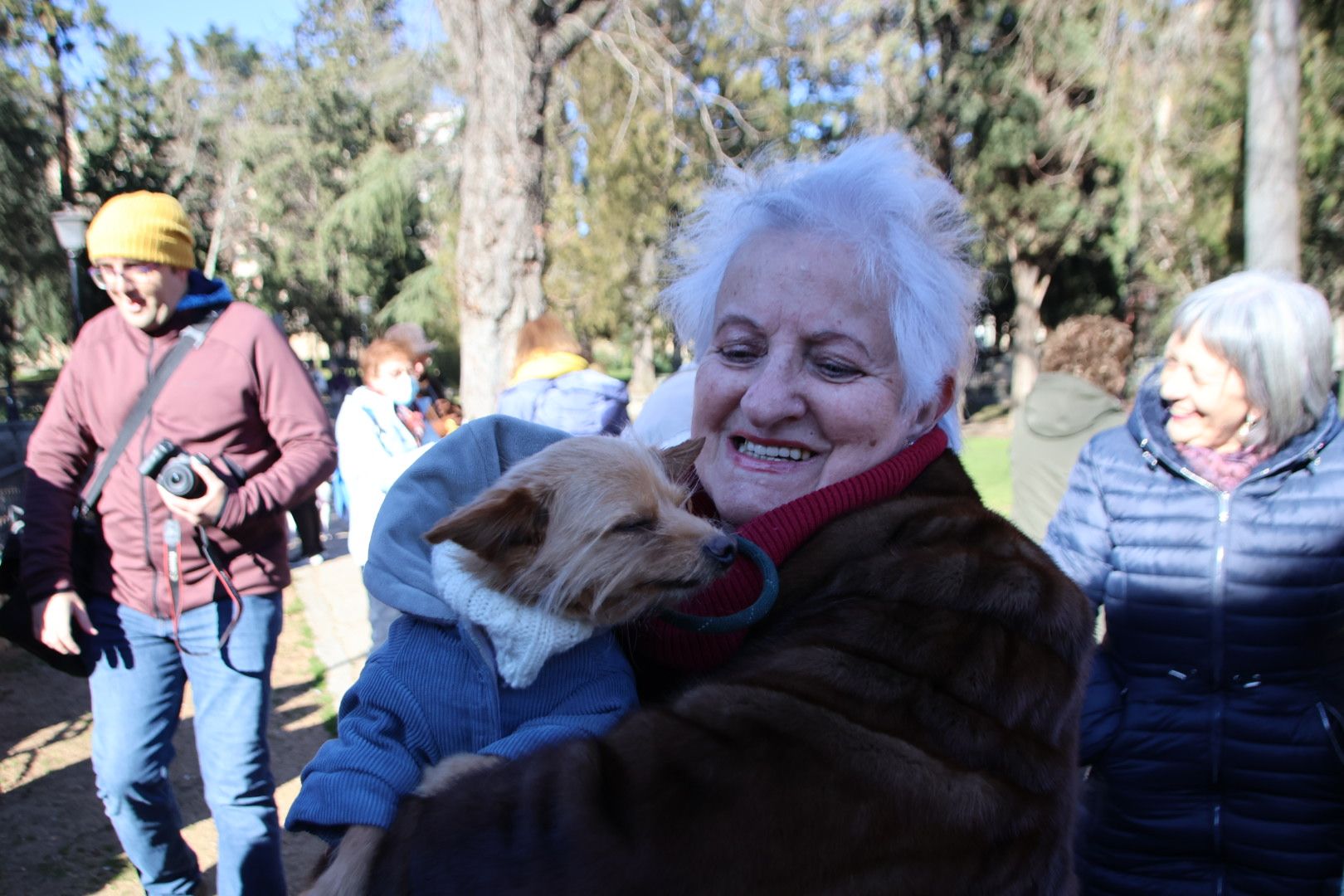 San Antón en el Campo de San Francisco