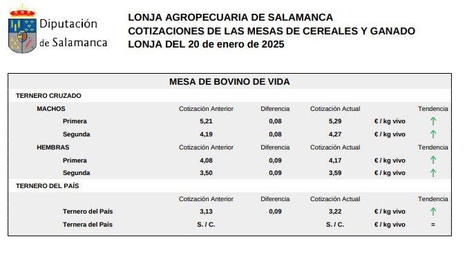 Mesa bovino de vida lonja Salamanca 20 enero 2025