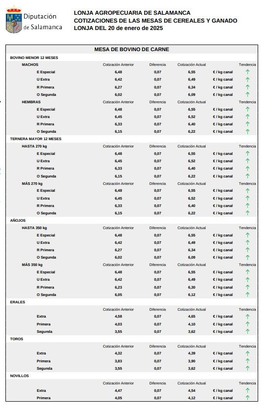 Mesa bovino de carne lonja Salamanca 20 enero 2025