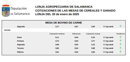 Mesa bovino de carne 1 lonja Salamanca 20 enero 2025