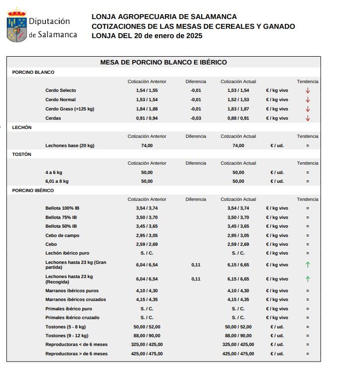 Mesa porcino lonja Salamanca 20 enero 2025