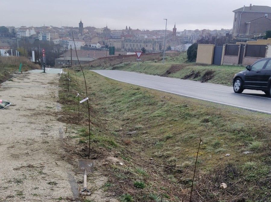 Plantación de árboles en Alba de Tormes 