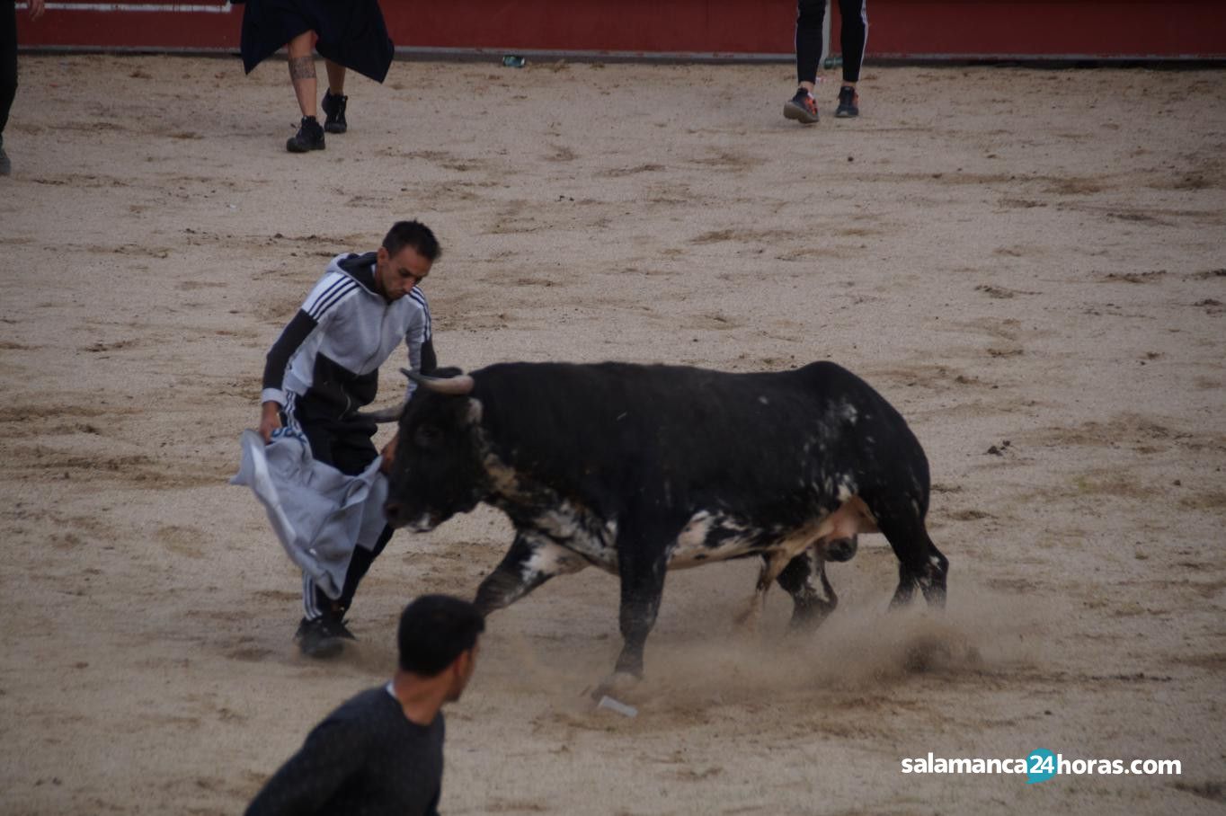  Toro del Aguardiente Santa Marta 2019 2 (42) 