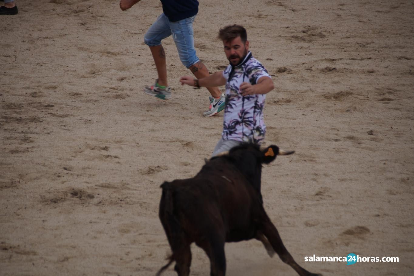  Toro del Aguardiente Santa Marta 2019 2 (48) 