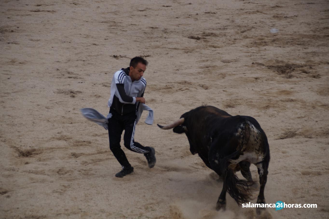  Toro del Aguardiente Santa Marta 2019 2 (46) 