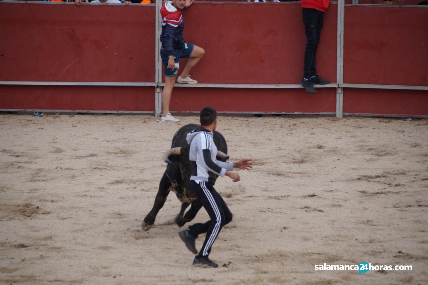  Toro del Aguardiente Santa Marta 2019 2 (44) 