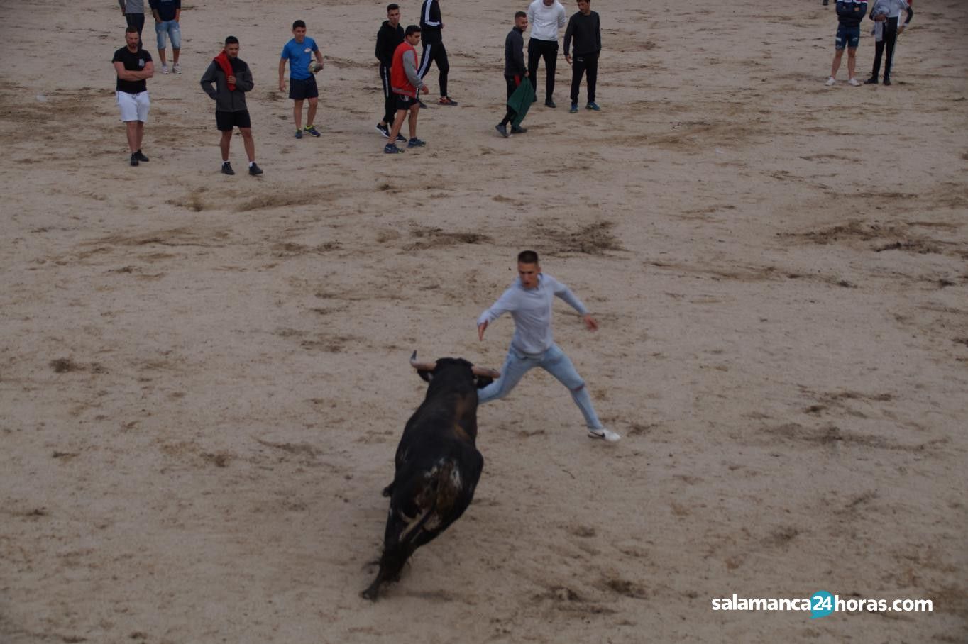  Toro del Aguardiente Santa Marta 2019 2 (43) 