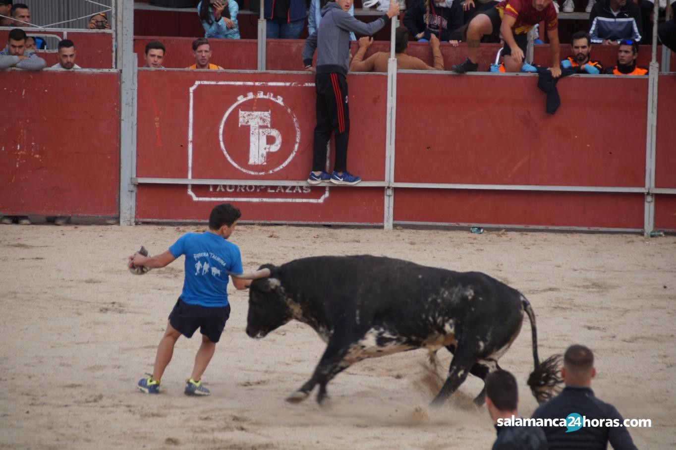  Toro del Aguardiente Santa Marta 2019 2 (41) 