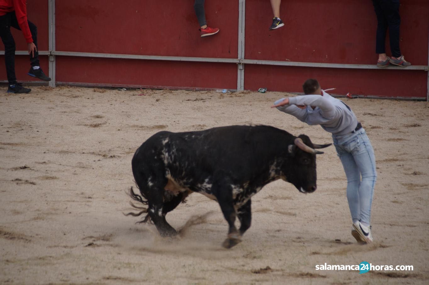  Toro del Aguardiente Santa Marta 2019 2 (40) 