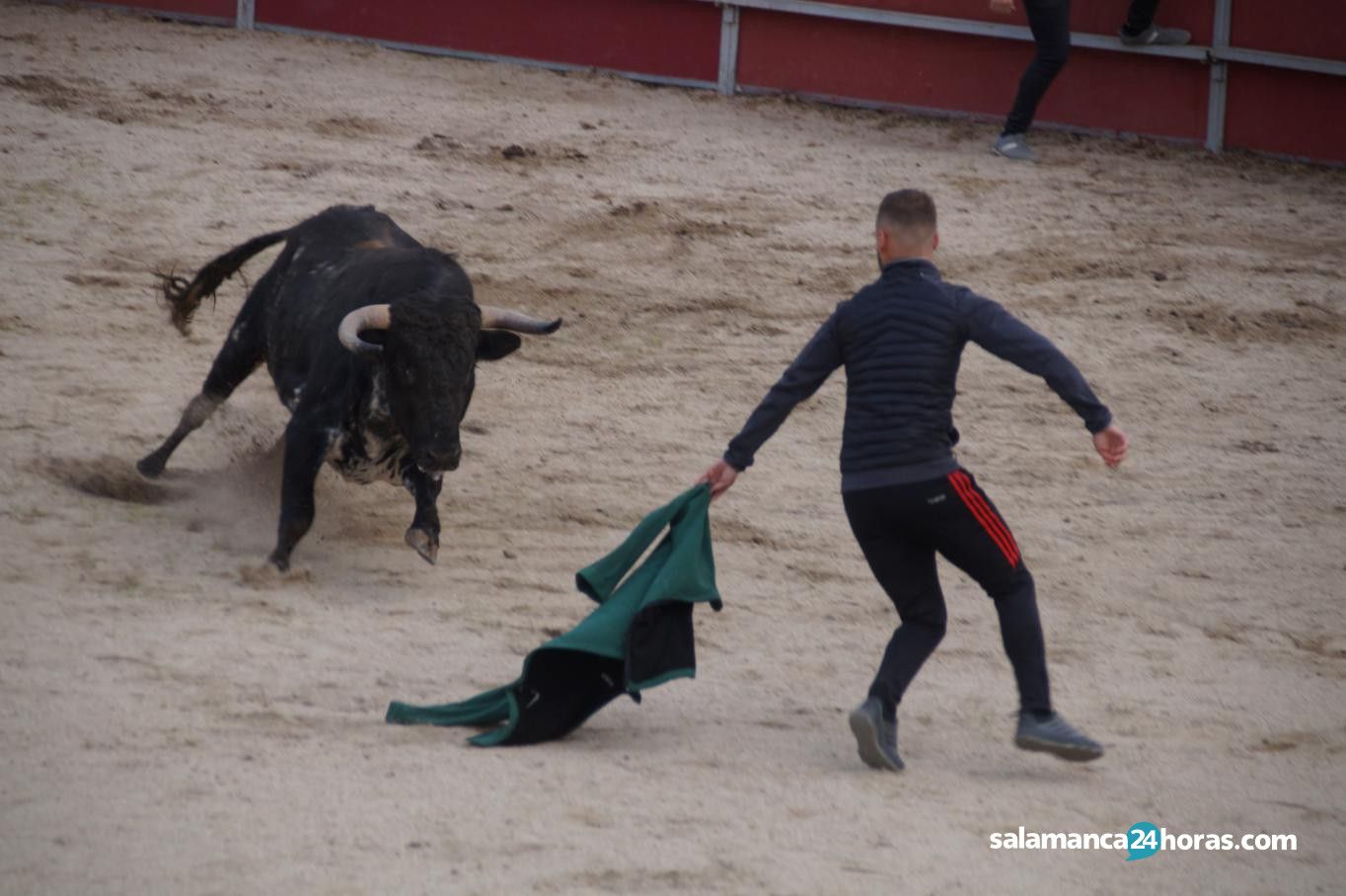  Toro del Aguardiente Santa Marta 2019 2 (38) 