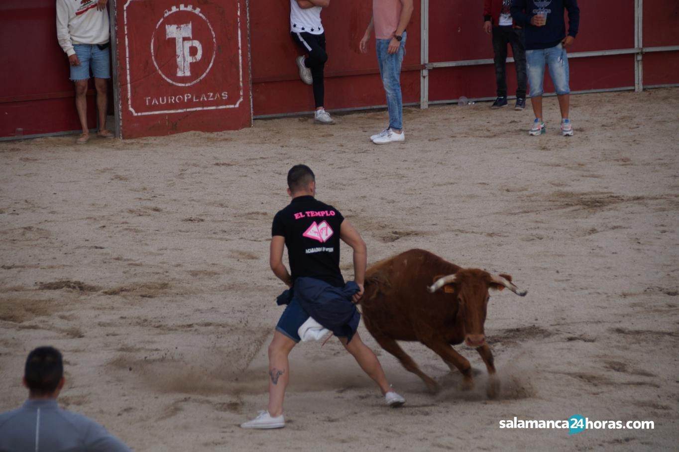  Toro del Aguardiente Santa Marta 2019 2 (31) 