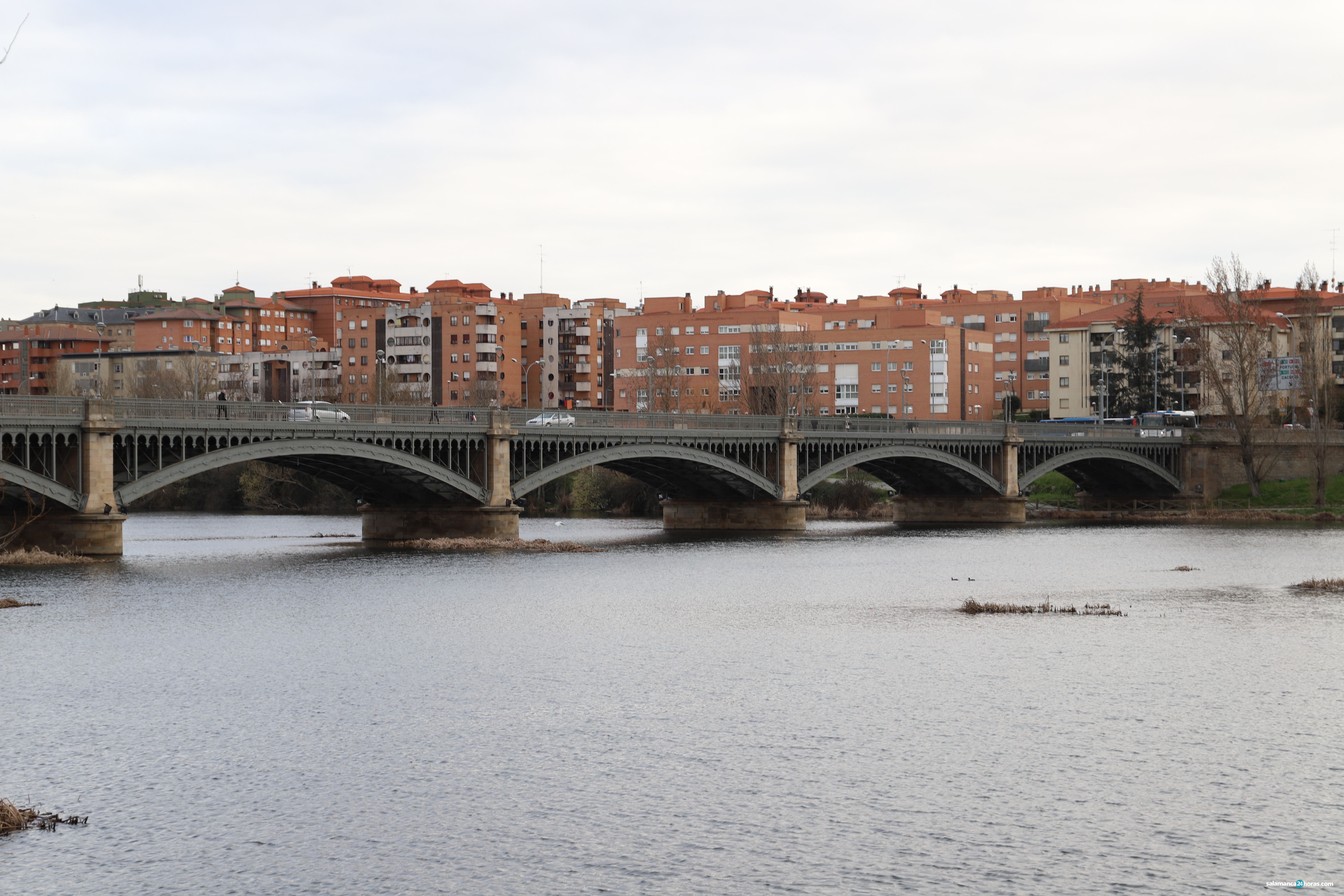  Puente Enrique Estevan (4) 