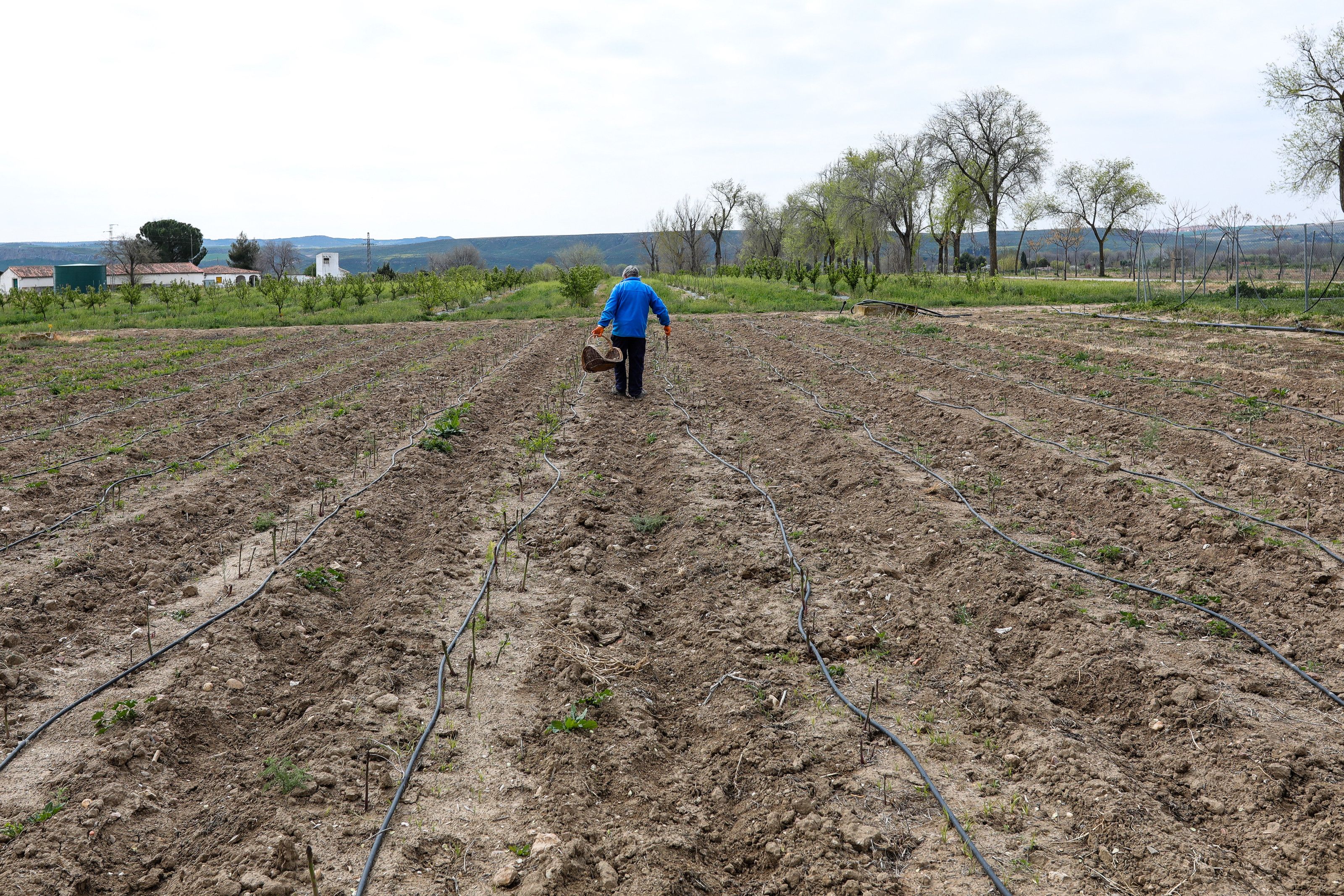  Un agricultor en el campo. 