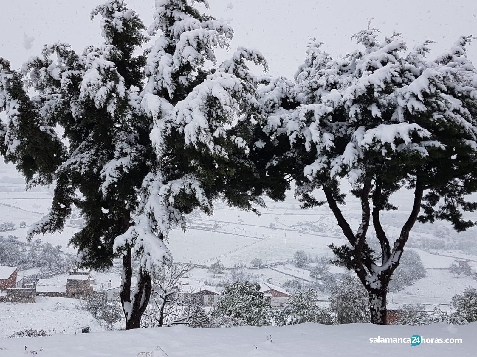 Nieve en Salamanca