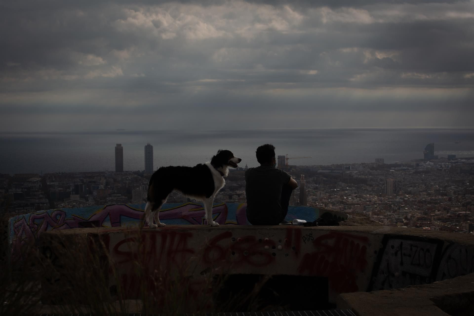 Un joven mira el paisaje en el mirador Turó de la Rovira, en Barcelona, junto a su perro